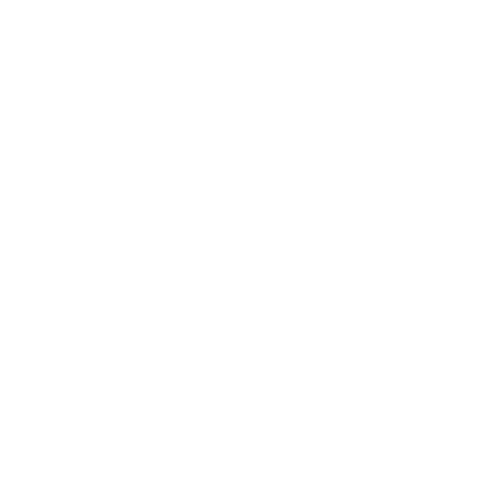 CAPITAL ADVISOR